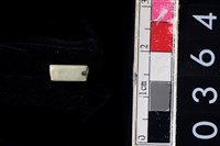 藏品(玉管珠)的圖片