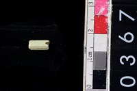 藏品(玉管珠)的圖片