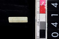 藏品(玉管珠)的圖片