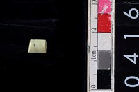 藏品(玉管珠)的圖片