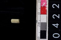 藏品(玉管珠)的圖片