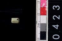 藏品(玉管珠)的圖片