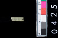 藏品(玉管珠)的圖片