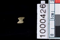 藏品(玉管珠)的圖片