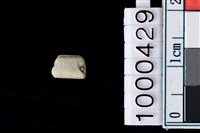 藏品(玉管珠)的圖片