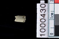 藏品(玉管珠)的圖片