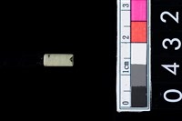 藏品(玉管珠)的圖片