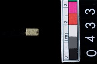 藏品(玉管珠)的圖片