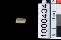 藏品(玉管珠)的圖片