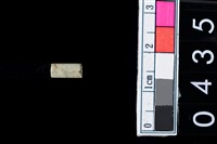 藏品(玉管珠)的圖片