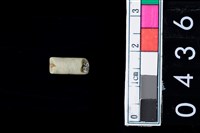 藏品(玉管珠)的圖片