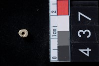 藏品(玉管珠)的圖片