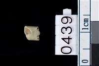 藏品(玉管珠)的圖片