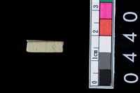 藏品(玉管珠)的圖片