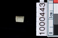 藏品(玉管珠)的圖片