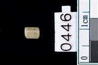 藏品(玉管珠)的圖片