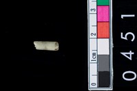 藏品(玉管珠)的圖片