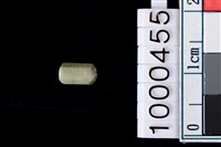 藏品(玉管珠)的圖片