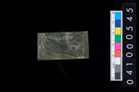 藏品(玉錛)的圖片