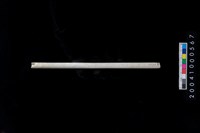 藏品(玉管)的圖片