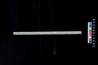 藏品(玉管)的圖片