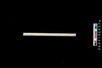 藏品(玉管)的圖片