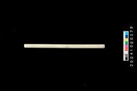 藏品(玉管)的圖片