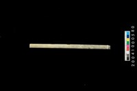 藏品(玉管)的圖片