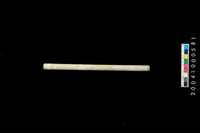 藏品(玉管)的圖片