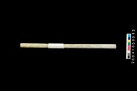 藏品(玉管)的圖片