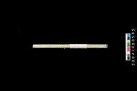 藏品(玉管)的圖片