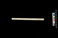 藏品(玉管)的圖片