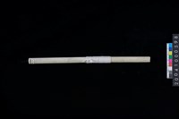 藏品(玉管)的圖片