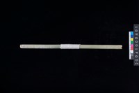 藏品(玉管)的圖片