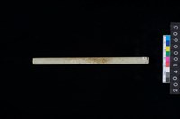 藏品(玉管)的圖片