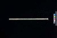 藏品(玉管)的圖片