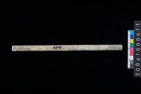 藏品(玉管)的圖片