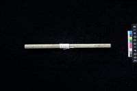 藏品(玉管)的圖片