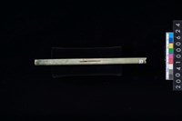 藏品(玉管)的圖片