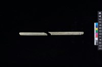 藏品(玉管)的圖片