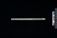 藏品(玉管)的圖片