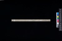 藏品(玉管)的圖片