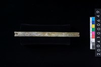 藏品(玉管)的圖片