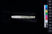 藏品(兩端帶穿玉棒)的圖片