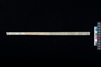 藏品(兩端帶穿玉棒)的圖片