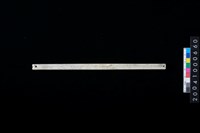 藏品(兩端帶穿玉棒)的圖片