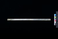 藏品(兩端帶穿玉棒)的圖片