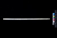 藏品(兩端帶穿玉棒)的圖片