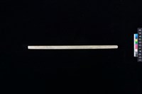 藏品(兩端帶穿玉棒)的圖片