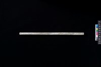 藏品(兩端帶穿玉棒)的圖片